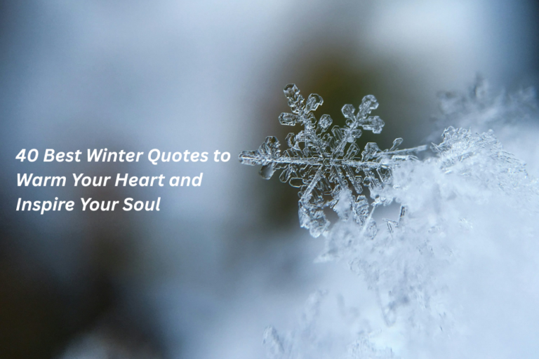 40 Best Winter Quotes to Warm Your Heart and Inspire Your Soul